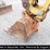 2019-yanmar-vio55-6a-image-26