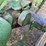 john-deere-model-a-image-47