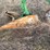 john-deere-pull-type-two-bottom-plow-image-21