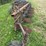 (6)-bottom-ih-plow-image-16