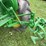 john-deere-la-image-54