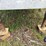 t/a-25’-gooseneck-trailer-image-43