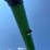 2011-john-deere-9770-sts-image-23