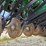 2023-john-deere-bd1108-image-4