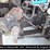 2002-international-durastar-4300-image-8