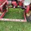 massey-harris-pacer-image-35