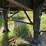#1034-•-2004-transcraft-eagle-flat-bed-trailer---frye-lumber-company-image-23