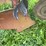 (6)-bottom-ih-plow-image-12