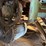 #1012-•-4-strand-transfer-deck---frye-lumber-company-image-6
