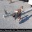 2006-allmand-bros-night-lite-pro-image-4