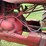 massey-ferguson-33-image-46