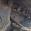 2021-bobcat-mt55-image-13
