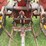 massey-ferguson-33-image-32