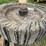 #4016-•-land-pride-15ft-batwing-mower-image-17
