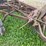 (6)-bottom-ih-plow-image-19