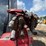 takeuchi-tl12v2-image-11