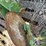 john-deere-no.-44-three-point-three-bottom-plow-image-25