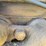fordson-f-image-36