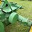 john-deere-model-a-image-41