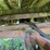 #9924-•-hydraulic-wooden-dump-wagon-image-8