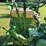 1959-john-deere-530-image-38