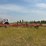 leon-1100-chisel-plow-image-1