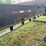 1999-pitts-triple-bunk-t/a-log-trailer-image-38