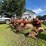 #9911-•-allis-chalmers-snap-coupler-3-bottom-plow-image-3