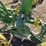john-deere-pull-type-two-bottom-plow-image-27