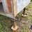 t/a-25’-gooseneck-trailer-image-40