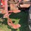 farmall-340-gas-with-loader-image-47