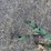 john-deere-38-image-9