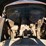 1947-chevrolet-fleetline-2dr-sedan-image-7