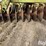 john-deere-t0330-image-17