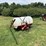 fimco-3pt-sprayer-6404-image-7