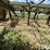 john-deere-1610-image-16
