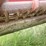 case-ih-1010-image-3