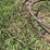 plow-trash-wheel-image-10