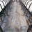 24'-hay-feed-cart-23481-image-7
