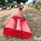 wheatheart-10"-transfer-auger-image-6