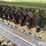 john-deere-8300-image-15