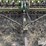john-deere-950-image-8