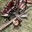 international-1300-image-2