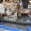3k-wp-1-bottle-accumulator-nitrogen-backup-/-test-skid-p/b-acme-motori-diesel-engine-image-7
