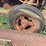 farmall-400-diesel-image-19