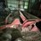 international-1460-image-9