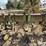 john-deere-er014-image-8