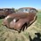 chevrolet-master-image-3