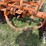allis-chalmers-b-image-9