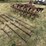 ih-cultivator-8248-image-1